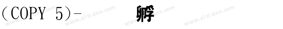 (COPY 5)字体转换